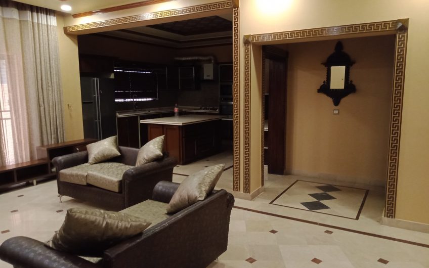 Luxury House