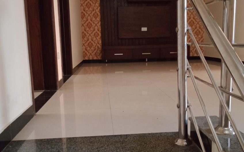 Brand New House